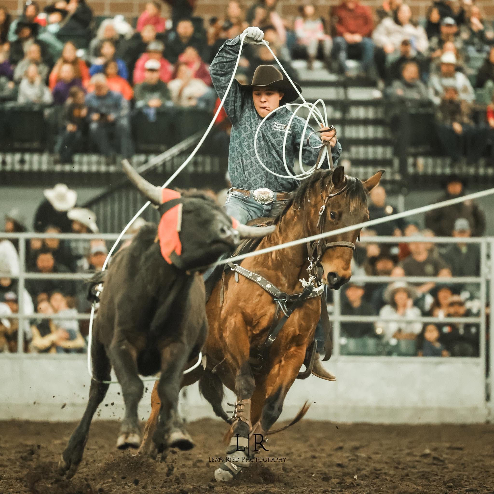 Rogue Rodeo